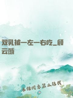 双乳被一左一右吃