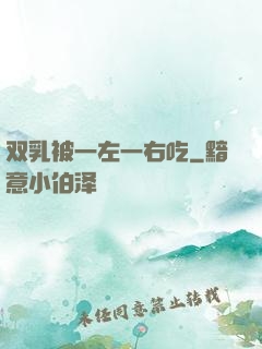 双乳被一左一右吃