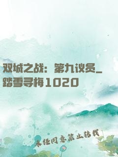 双城之战：第九议员