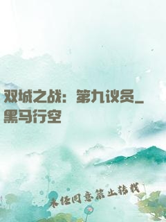 双城之战：第九议员