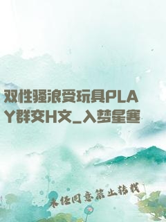 双性骚浪受玩具PLAY群交H文