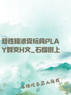 双性骚浪受玩具PLAY群交H文