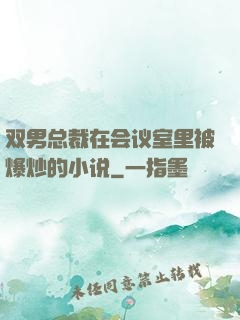 双男总裁在会议室里被爆炒的小说