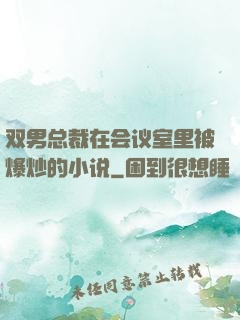 双男总裁在会议室里被爆炒的小说