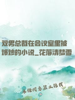 双男总裁在会议室里被爆炒的小说