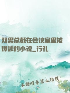 双男总裁在会议室里被爆炒的小说