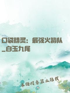 口袋精灵：最强火箭队