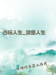 古玩人生