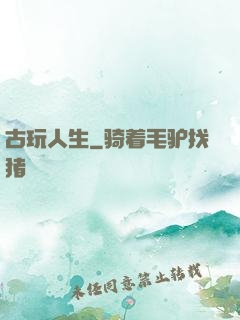 古玩人生