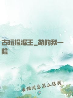古玩捡漏王