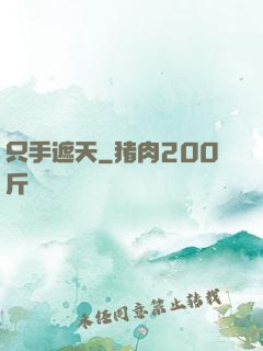只手遮天