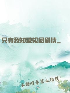 只有我知道轮回剧情