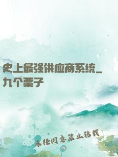 史上最强供应商系统