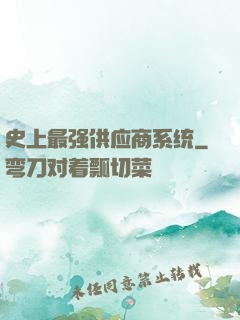 史上最强供应商系统