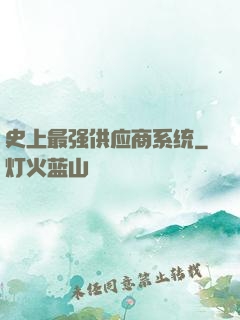 史上最强供应商系统