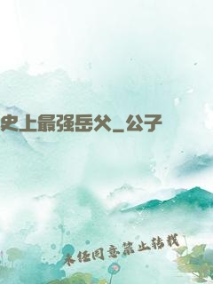 史上最强岳父