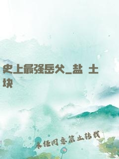 史上最强岳父