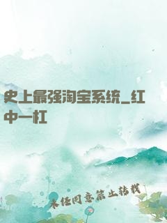 史上最强淘宝系统