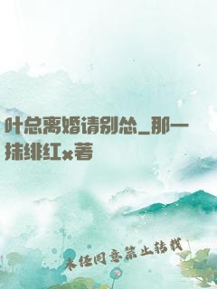 叶总离婚请别怂
