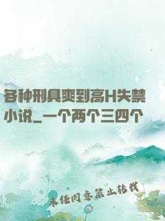 各种刑具爽到高H失禁小说