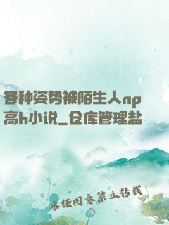 各种姿势被陌生人np高h小说