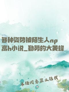 各种姿势被陌生人np高h小说