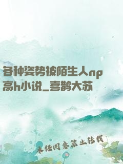 各种姿势被陌生人np高h小说