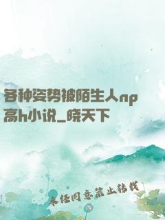 各种姿势被陌生人np高h小说