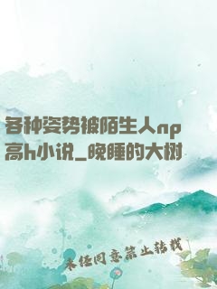 各种姿势被陌生人np高h小说
