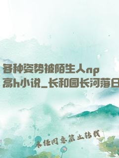 各种姿势被陌生人np高h小说