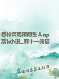 各种姿势被陌生人np高h小说