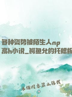 各种姿势被陌生人np高h小说