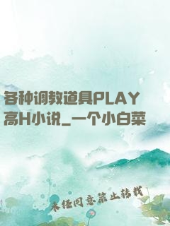 各种调教道具PLAY高H小说