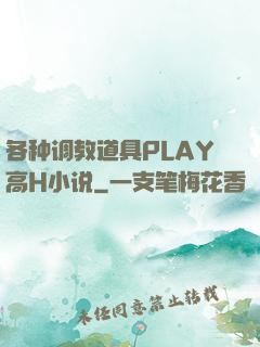 各种调教道具PLAY高H小说