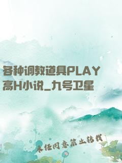 各种调教道具PLAY高H小说