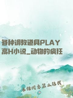 各种调教道具PLAY高H小说