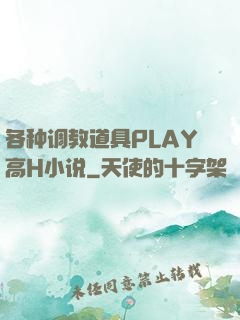 各种调教道具PLAY高H小说