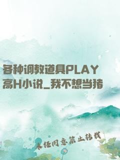 各种调教道具PLAY高H小说