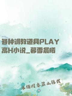 各种调教道具PLAY高H小说