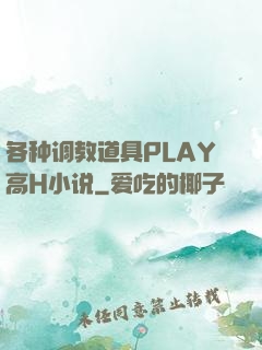 各种调教道具PLAY高H小说