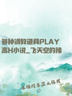 各种调教道具PLAY高H小说