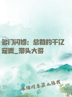 名门闪婚：总裁的千亿宠妻