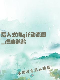 后入式啪gif动态图