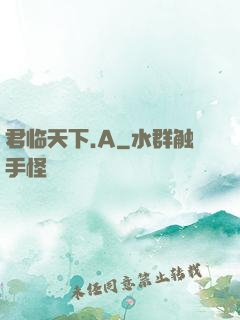 君临天下.A