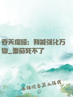 吞天魔罐：我能强化万物