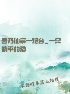 吾乃仙宗一炮台