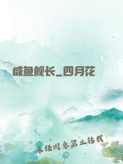 咸鱼舰长