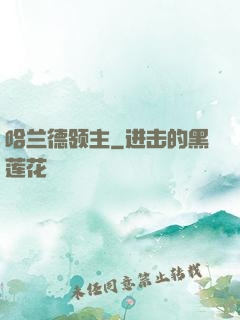 哈兰德领主