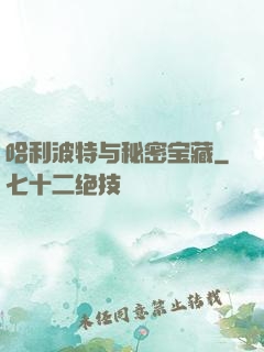 哈利波特与秘密宝藏
