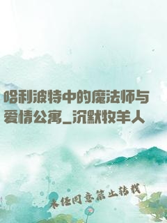 哈利波特中的魔法师与爱情公寓